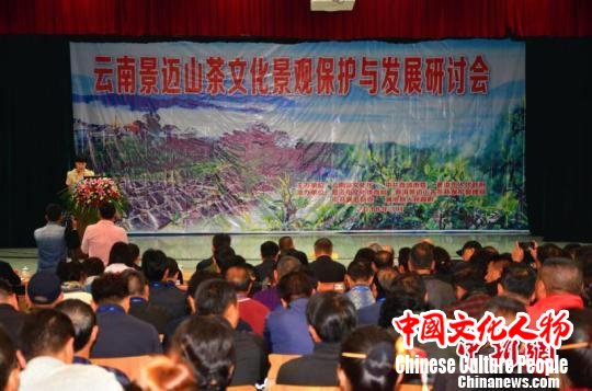 世界文化遗产专家齐聚云南澜沧