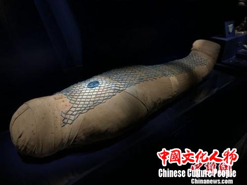 距今三千年的木乃伊现身三晋大地。胡健 摄