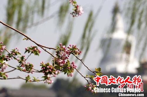 点击进入下一页