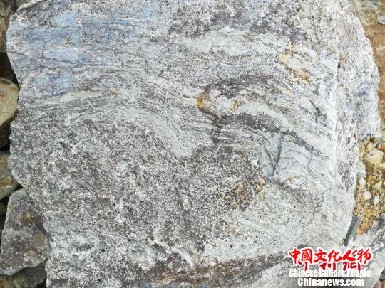 石块上“印染”着大片“波浪” 蔡思宽 摄