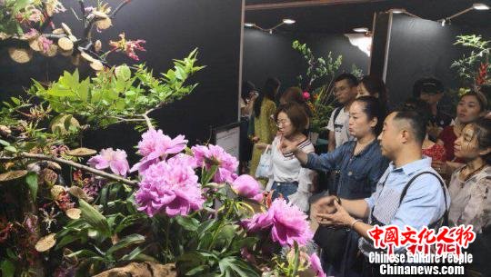 市民欣赏参赛插花作品。